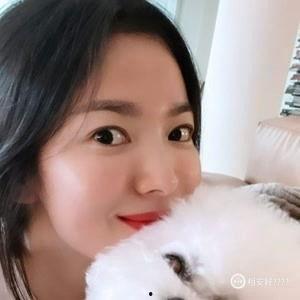 宋慧乔爆料视频合集,揭秘明星幕后生活点滴  第3张